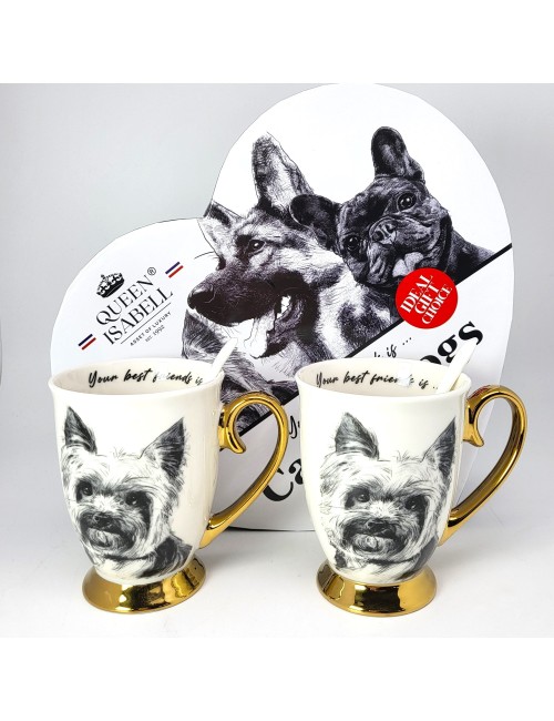 Zestaw złoconych kubków - York