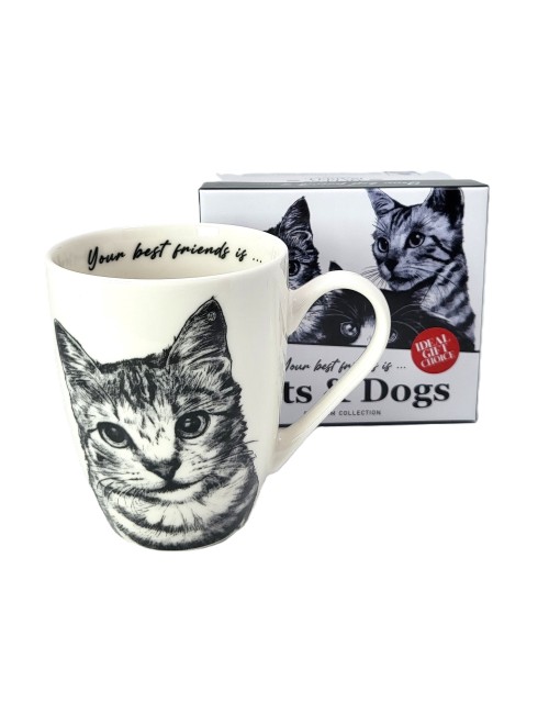 Kubek - Kot amerykański