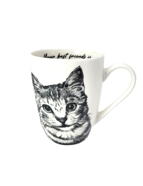 Kubek - Kot amerykański