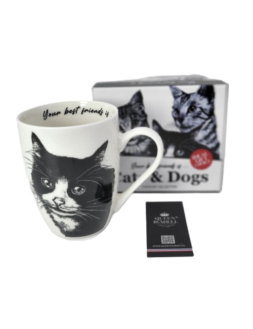 Kubek - Kot europejski