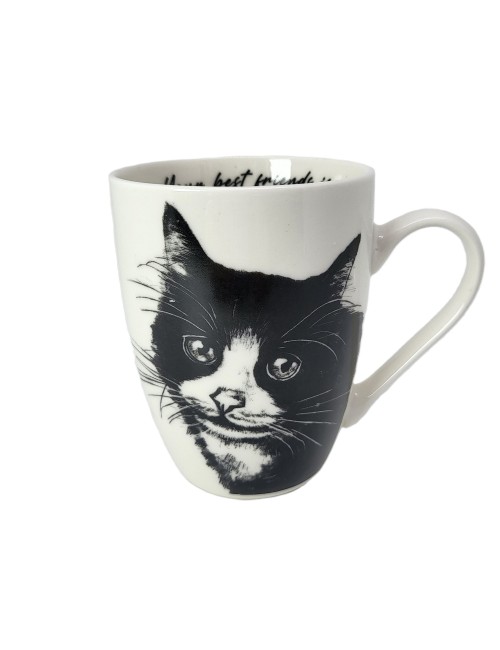 Kubek - Kot europejski