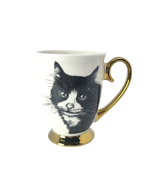 Złocony kubek - Kot europejski